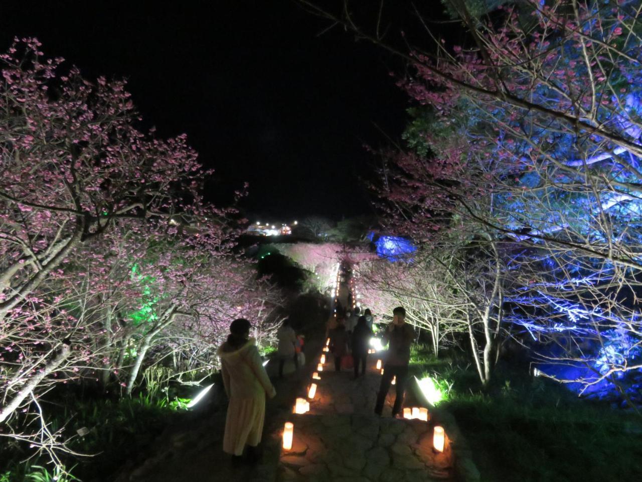 Okinawa Freedom Villa นาคิจิน ภายนอก รูปภาพ