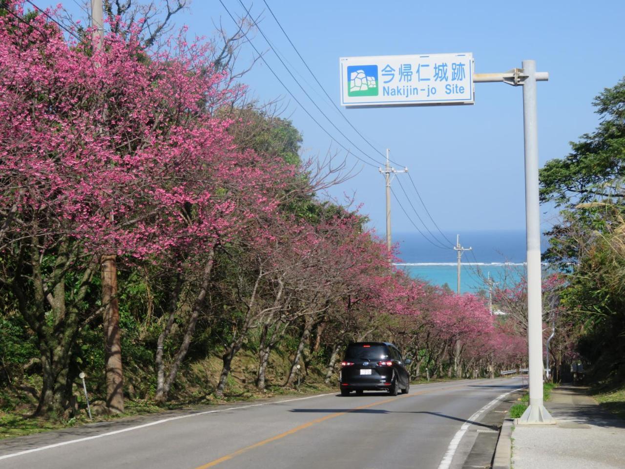 Okinawa Freedom Villa นาคิจิน ภายนอก รูปภาพ