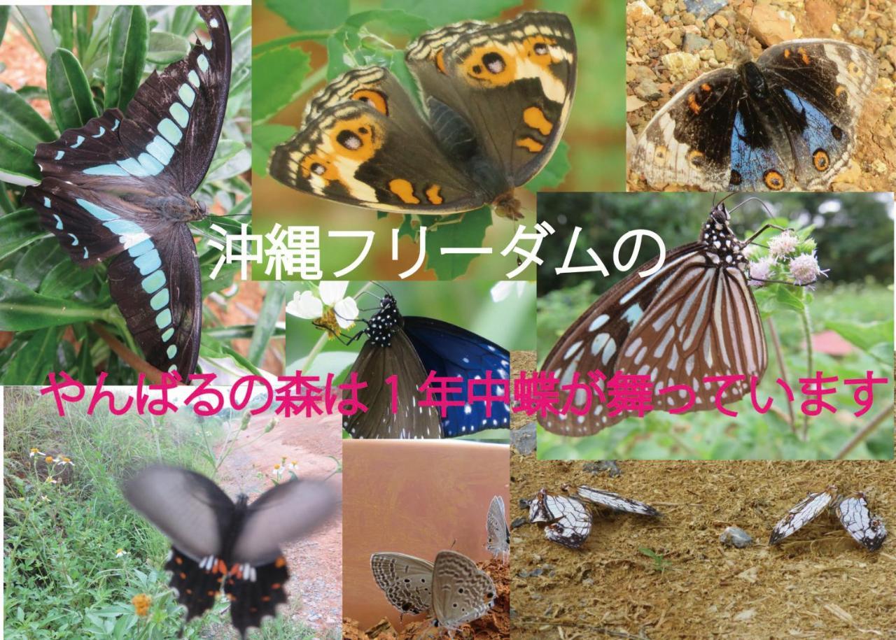 Okinawa Freedom Villa นาคิจิน ภายนอก รูปภาพ