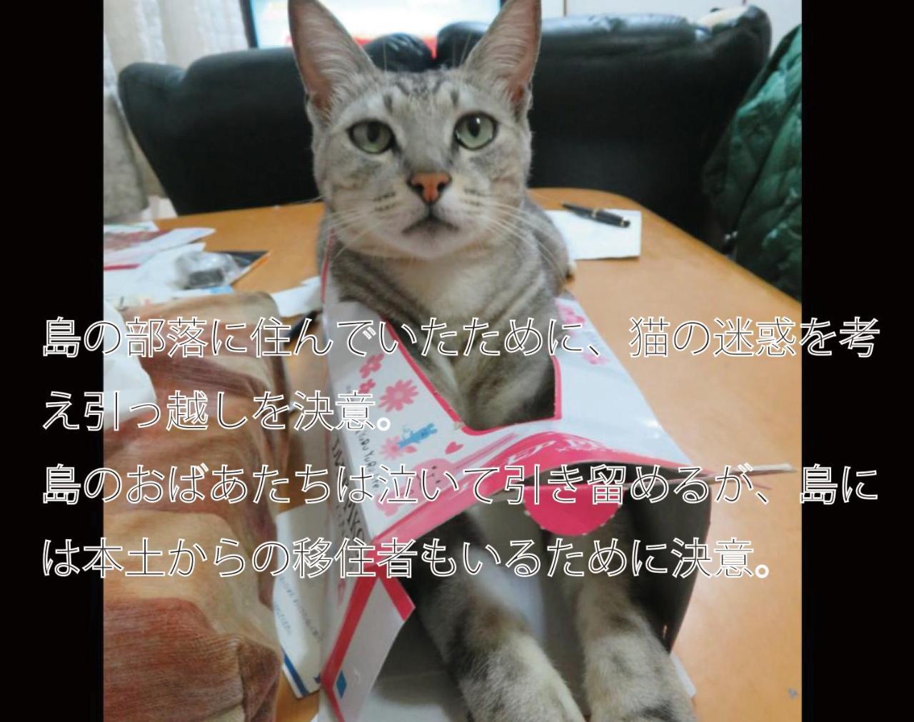 Okinawa Freedom Villa นาคิจิน ภายนอก รูปภาพ